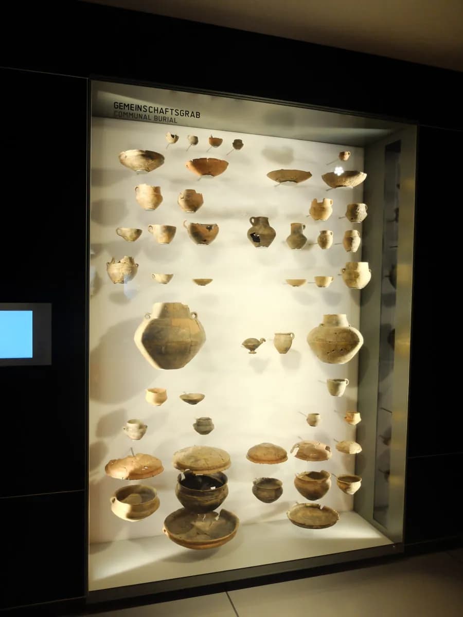 SMAK Chemnitz x webp